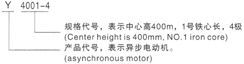 西安泰富西玛Y系列(H355-1000)高压YE2-315M-8三相异步电机型号说明