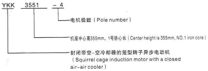 YKK系列(H355-1000)高压YE2-315M-8三相异步电机西安泰富西玛电机型号说明