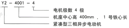 YR系列(H355-1000)高压YE2-315M-8三相异步电机西安西玛电机型号说明